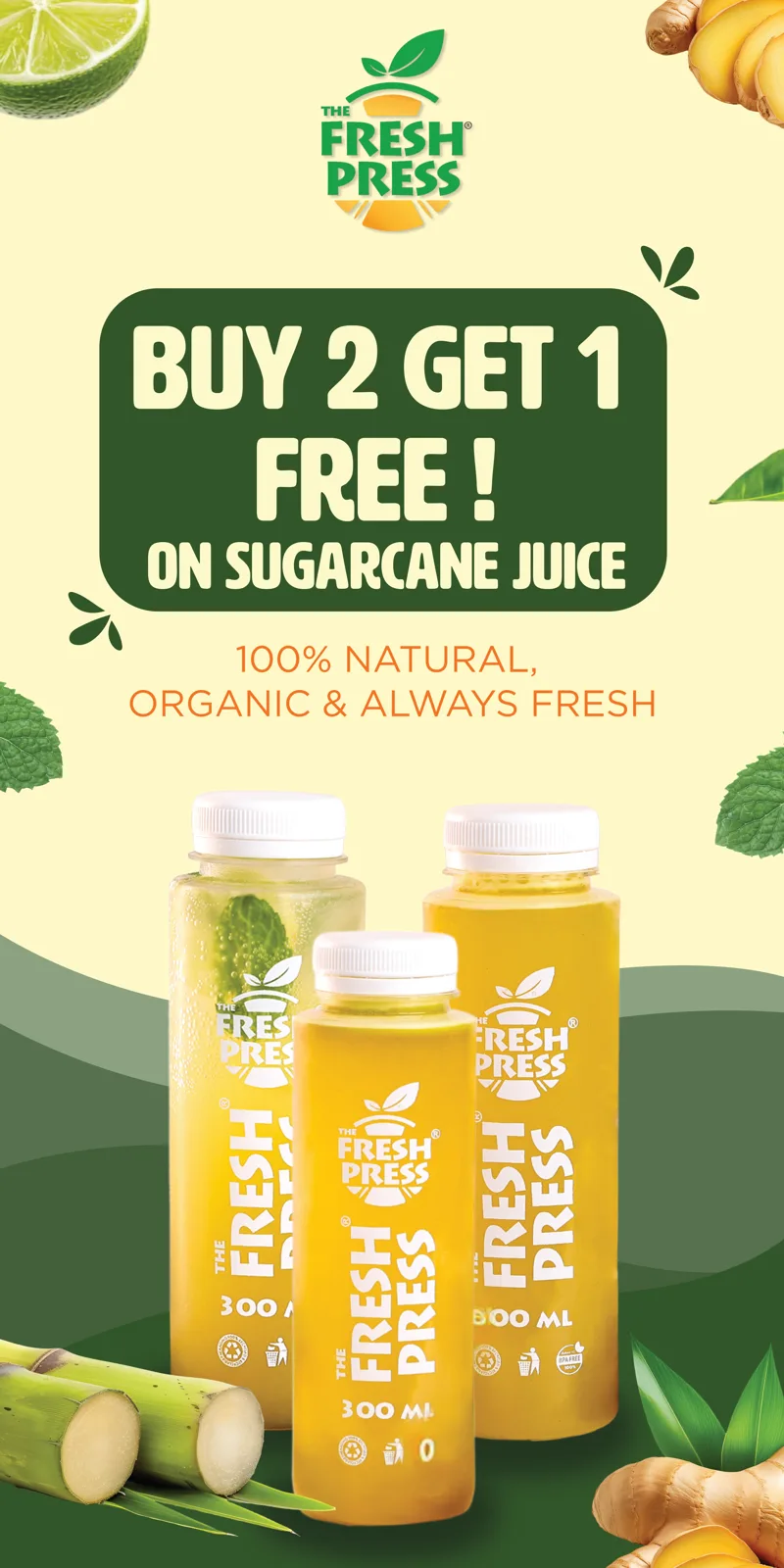 Sugarcane 30x15in