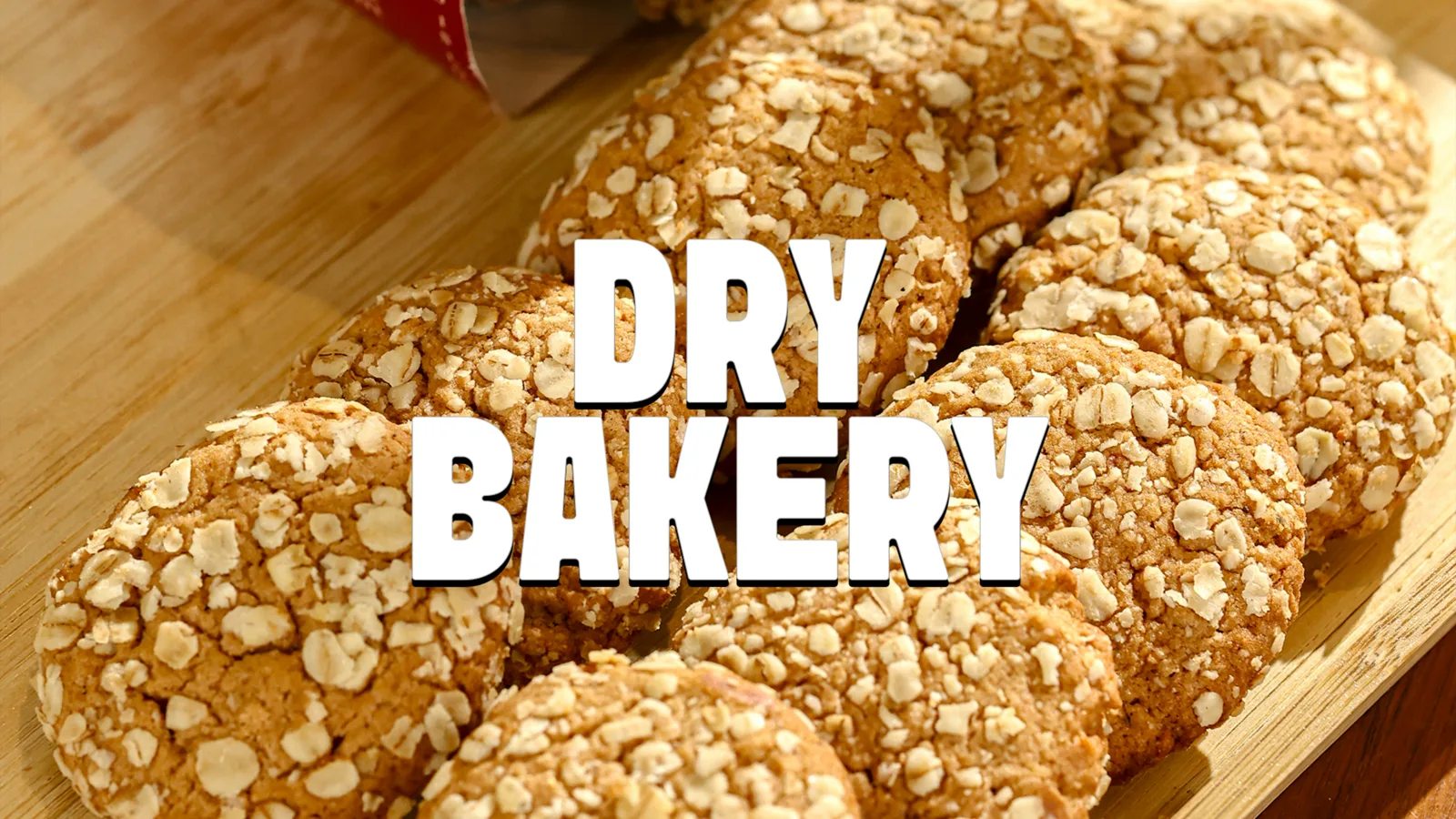 Brand Decks 4 for The Daily Dough, by MarketinCrew