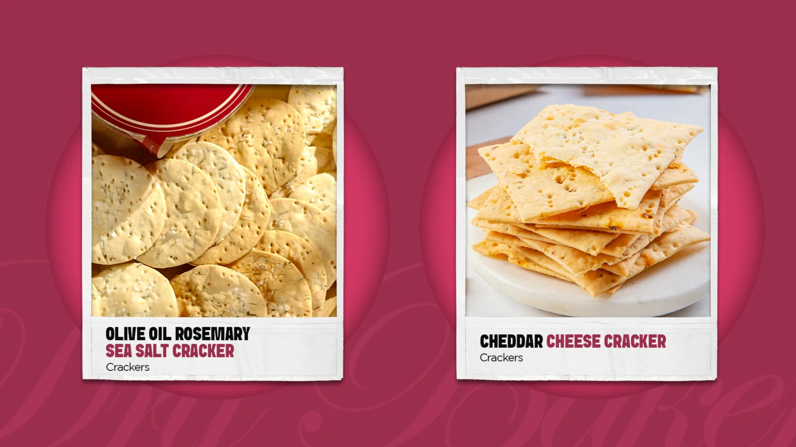 Brand Decks 11 for The Daily Dough, by MarketinCrew