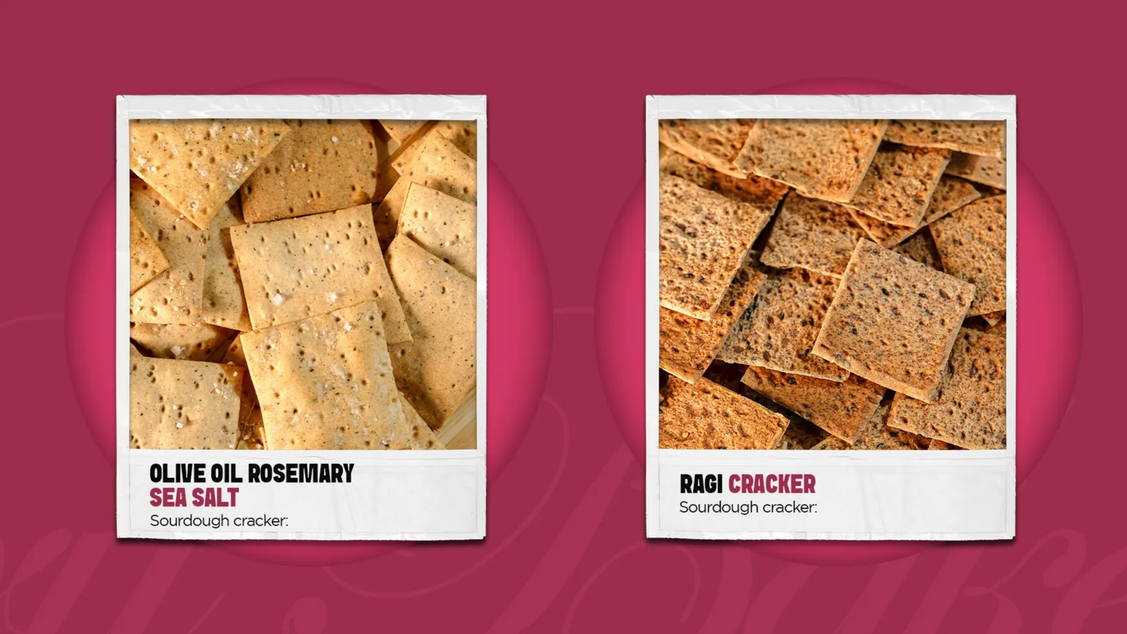 Print & Collateral 59 for The Daily Dough, by MarketinCrew