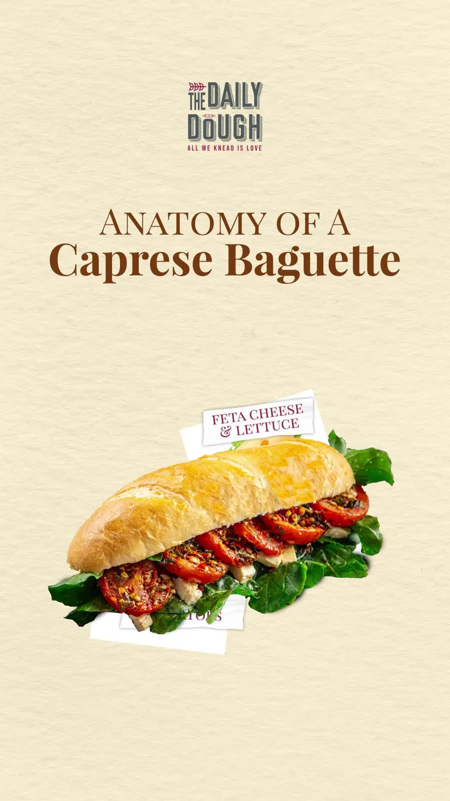 Anatomy Of A Caprese Baguette