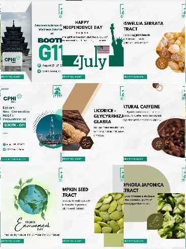 Instagram Grid Screenshot