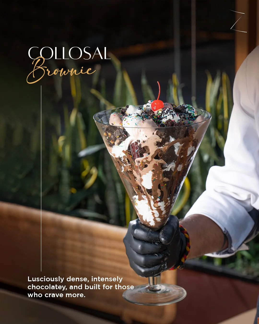 Collosal Brownie
